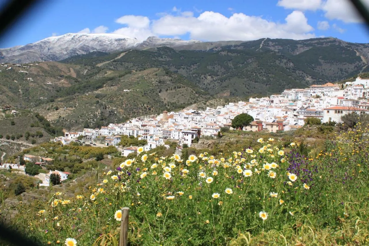 Casadubislav Apartment Canillas de Albaida