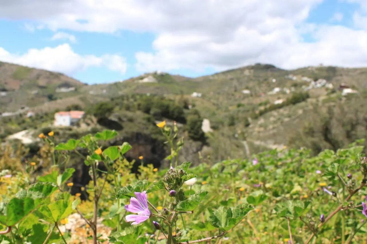 Casadubislav Apartment Canillas de Albaida